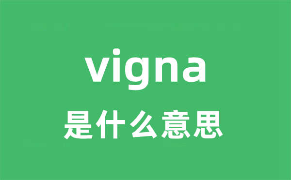 vignette是5分彩app官方版