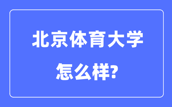 中央音乐5分钟彩官方下载最新版下载是