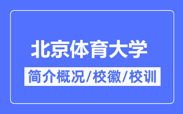 国际关系5分彩app官方版手机版登录