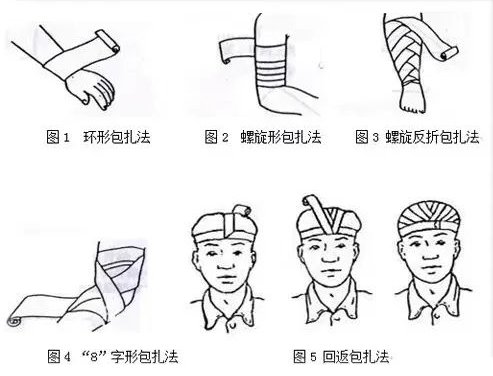 继续浏览