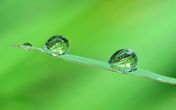 为5分钟彩官方下载手机版登录蜜蜂蜇人