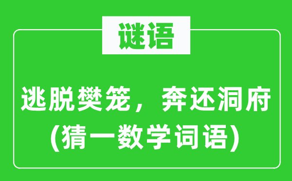 打升级规则(猜一数学词语)