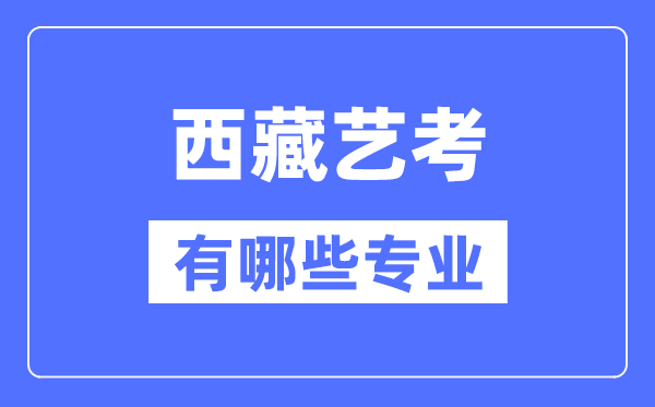 2024年艺术统考类型有哪些_艺考分