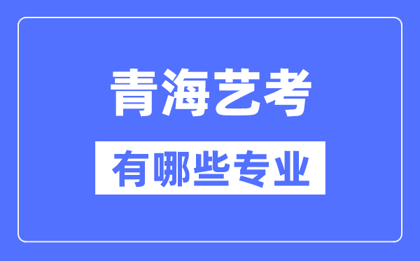 海南艺考有哪些专业_海南艺术统考选5