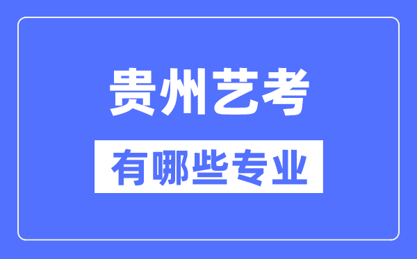 甘肃艺考有哪些专业_甘肃艺术统考选5
