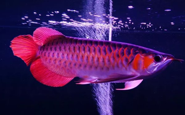 继续浏览
