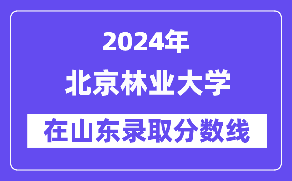 上海财经大学2024年在山东录取分数