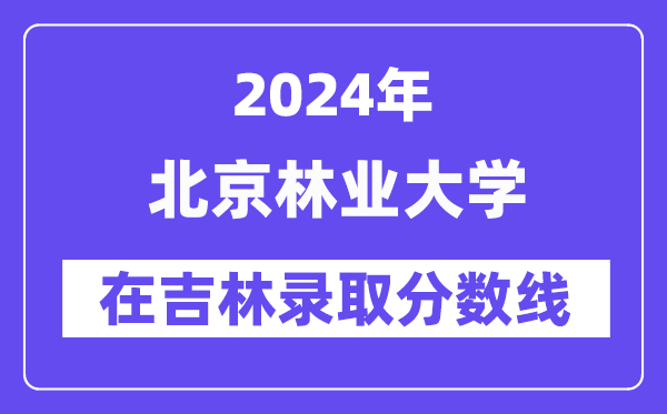 上海财经大学2024年在吉林录取分数