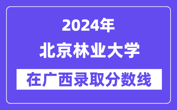 上海财经大学2024年在广西录取分数