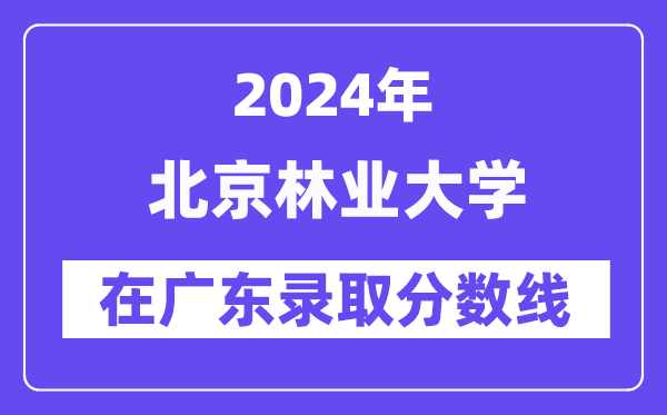 上海财经大学2024年在广东录取分数