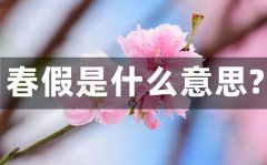 巳巳如意