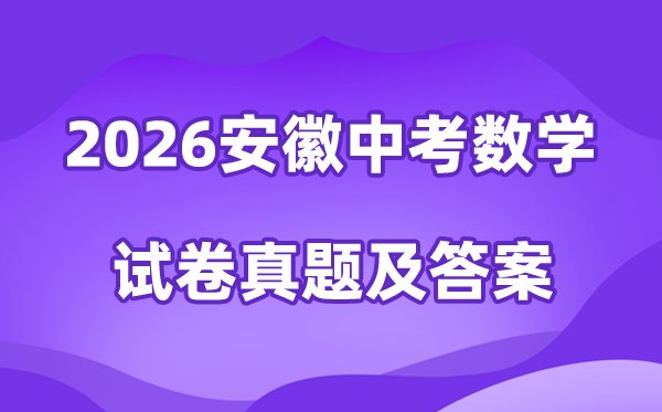 2026年安徽中考化学试卷真题及答案