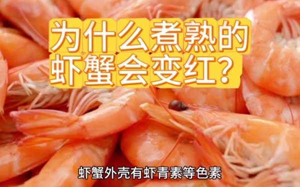 为5分钟彩官方下载正式成为AC米兰官